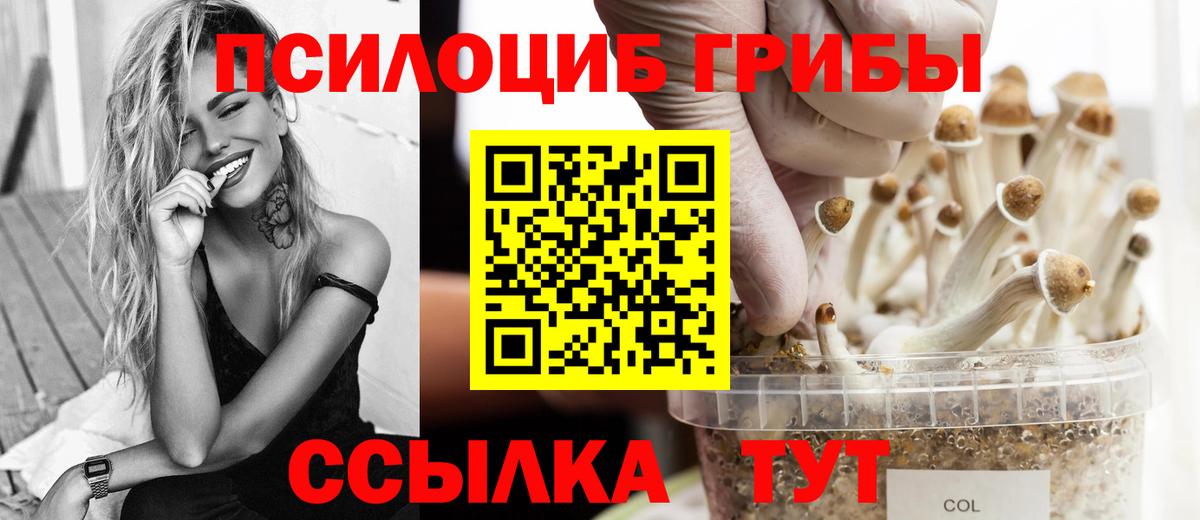 Псилоцибиновые грибы мицелий Алатырь
