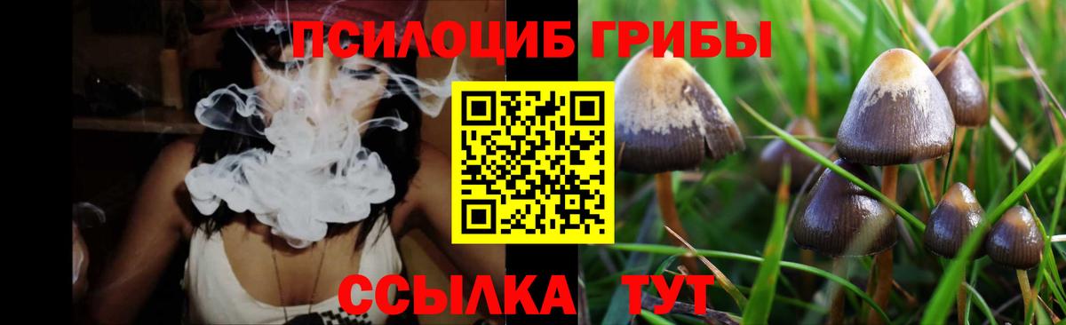 Алатырь  Галлюциногенные грибы Psilocybe  цены   Вход с VPN 